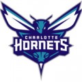 تیم شارلوت هورنتز (Charlotte Hornets)