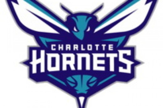 تیم شارلوت هورنتز (Charlotte Hornets)